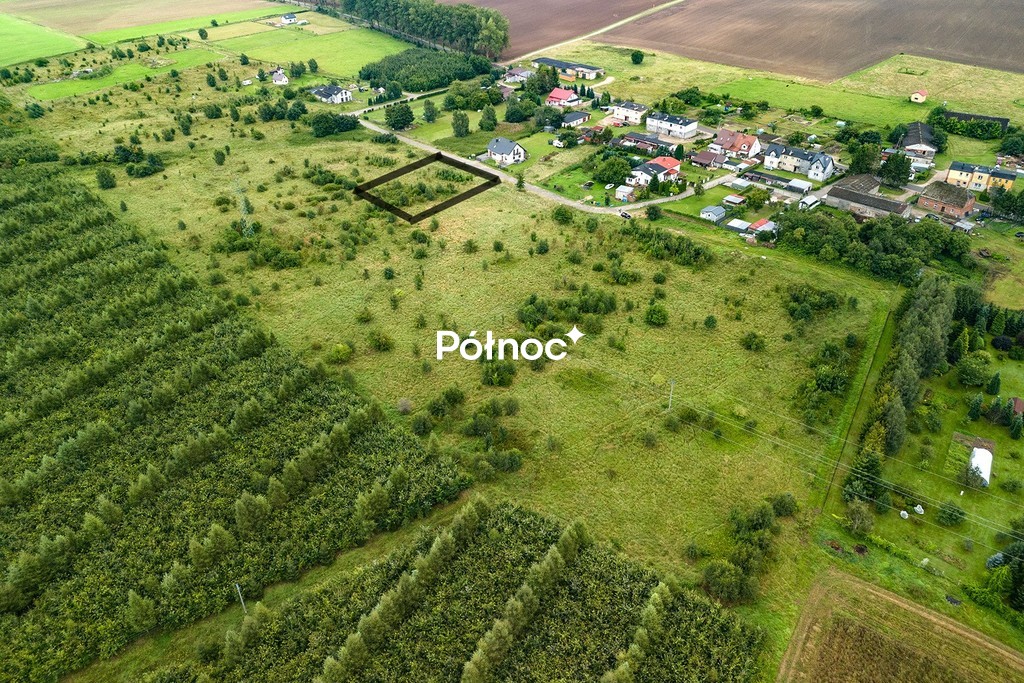 Zdjęcie 4
