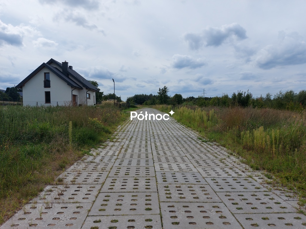 Zdjęcie 8