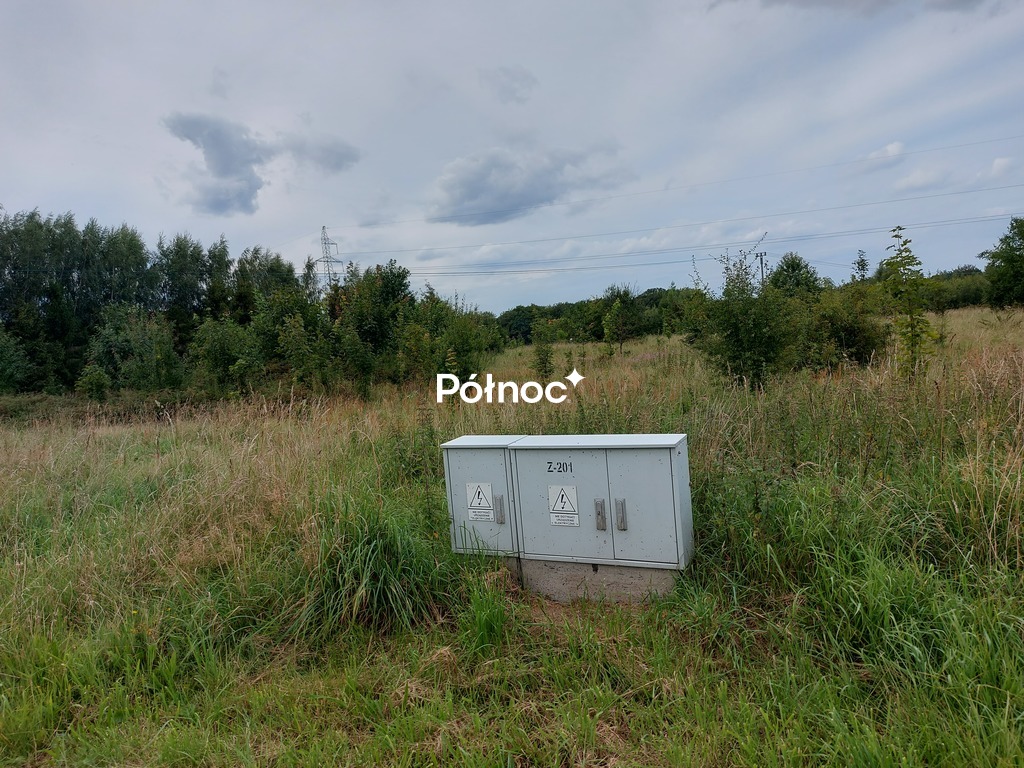 Zdjęcie 9