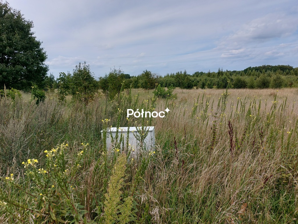 Zdjęcie 10