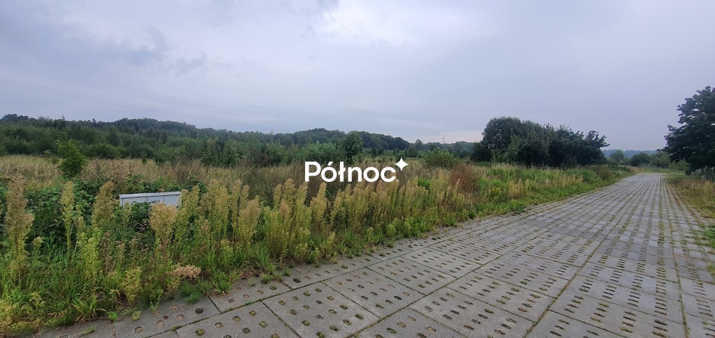 Zdjęcie 11