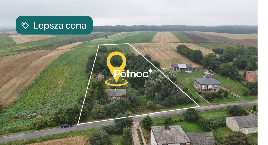 Zdjęcie 2