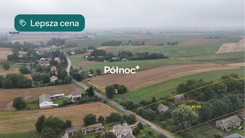 Zdjęcie 3