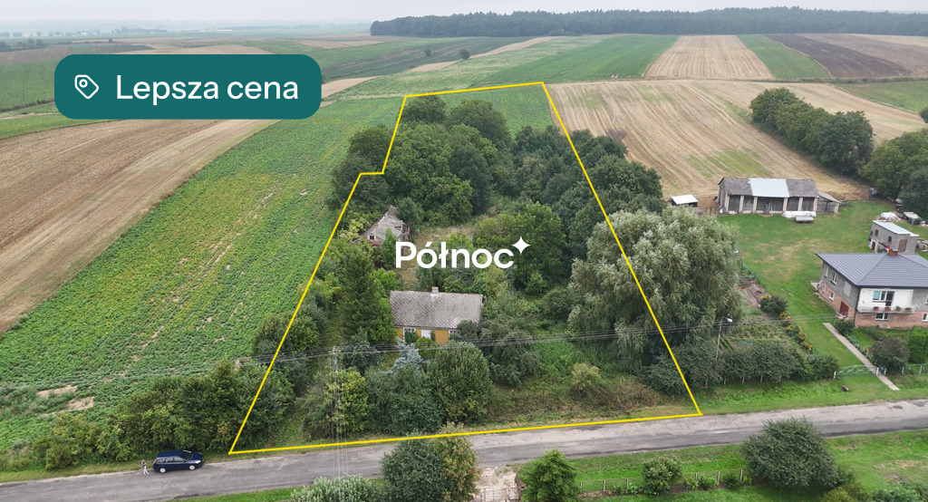 Zdjęcie 4