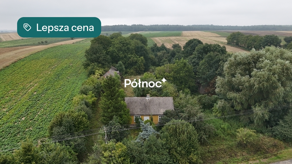 Zdjęcie 5