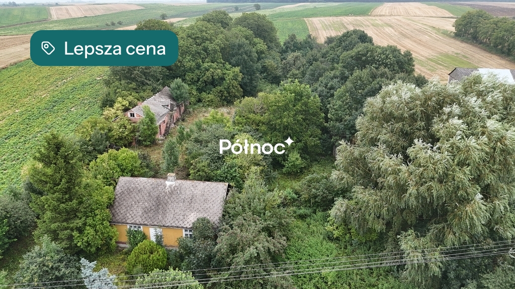 Zdjęcie 6