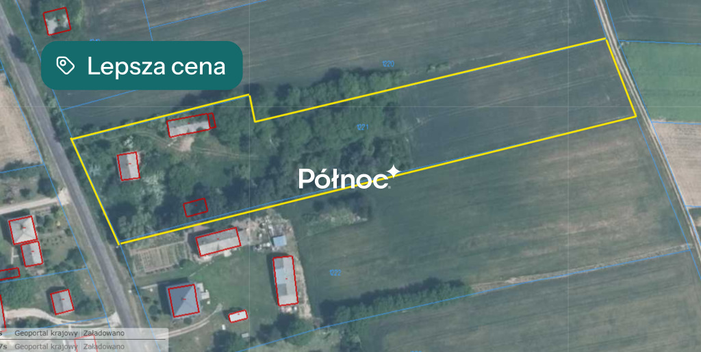 Zdjęcie 8