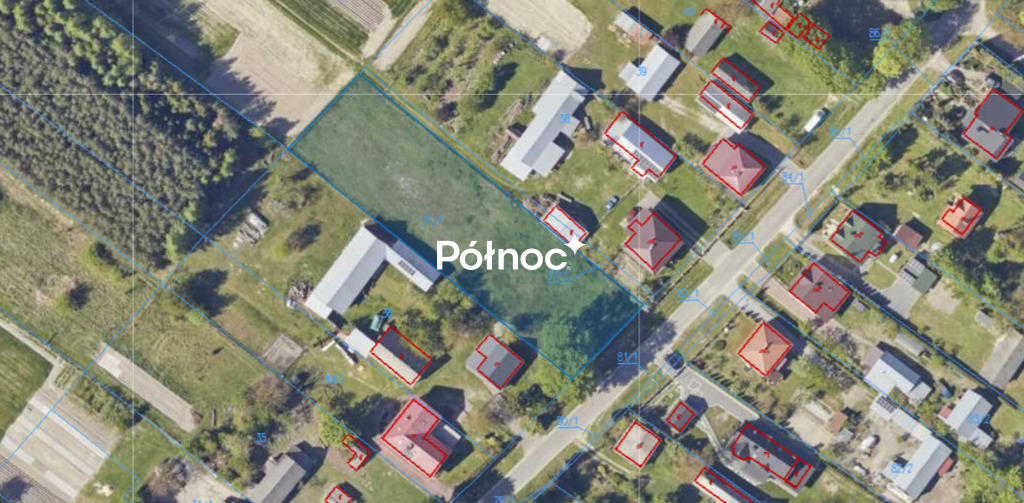 Zdjęcie 9
