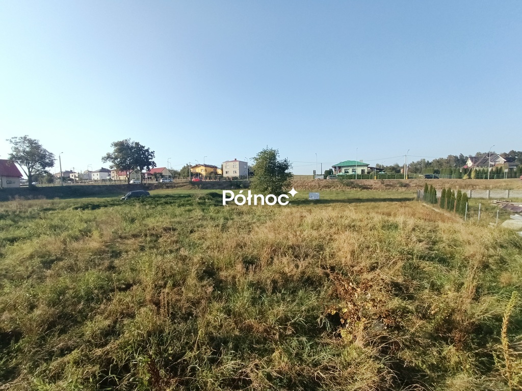 Zdjęcie 5
