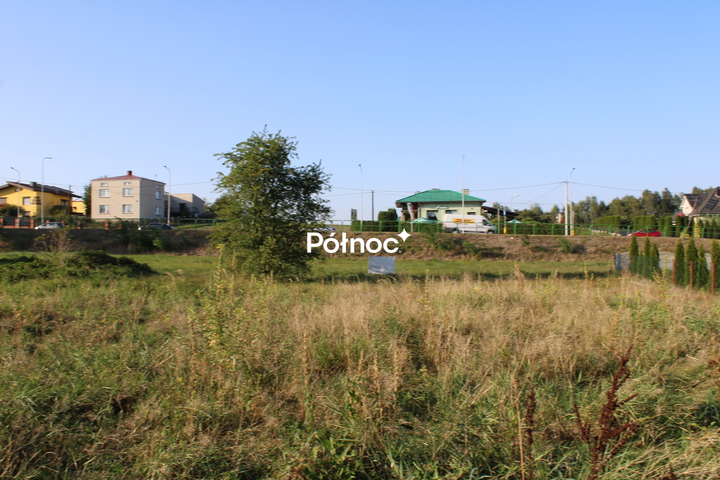 Zdjęcie 6