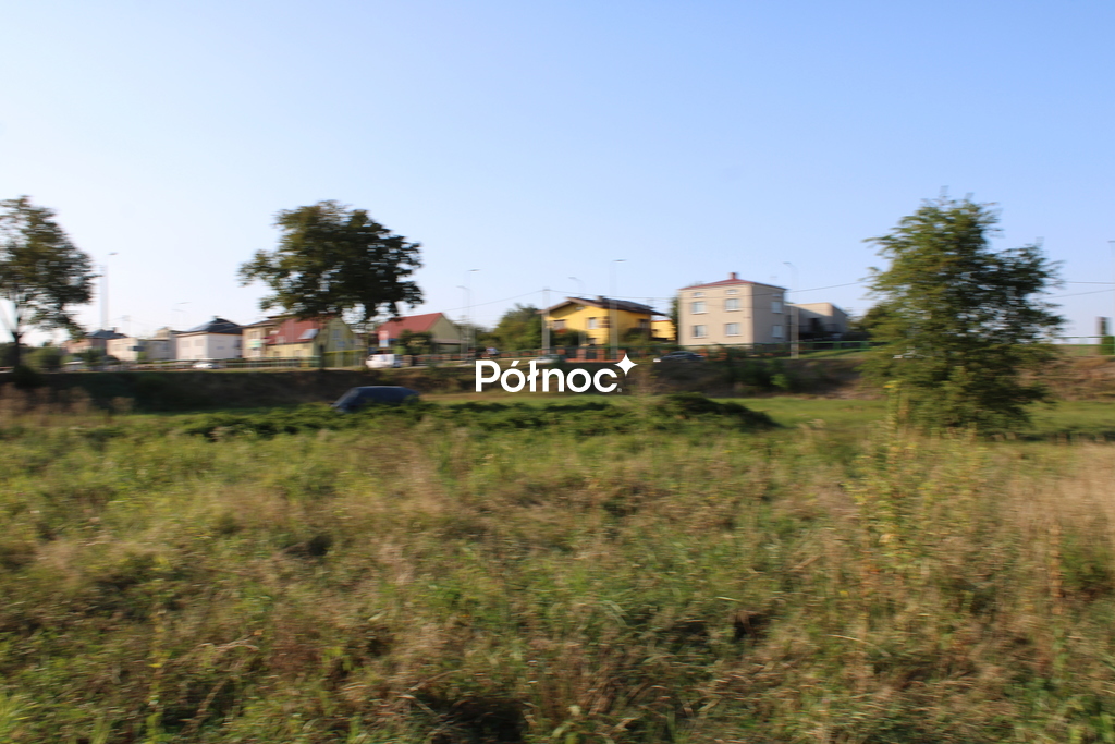 Zdjęcie 7