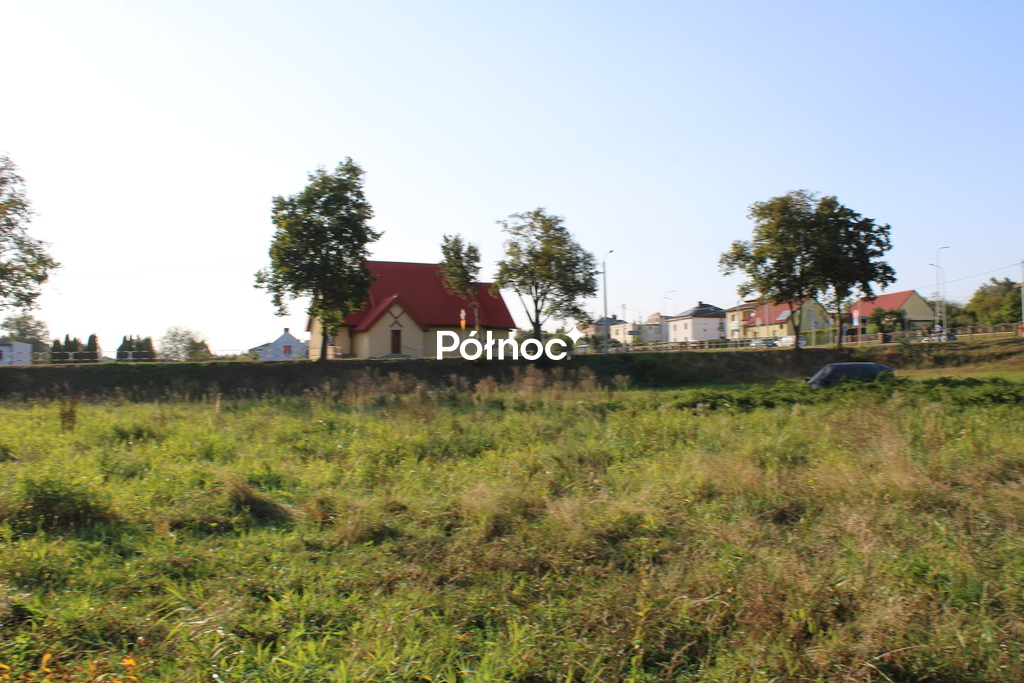 Zdjęcie 8