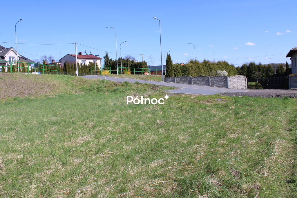 Zdjęcie 11
