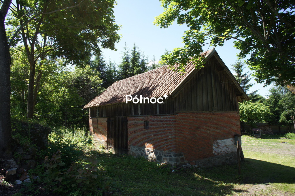 Zdjęcie 10