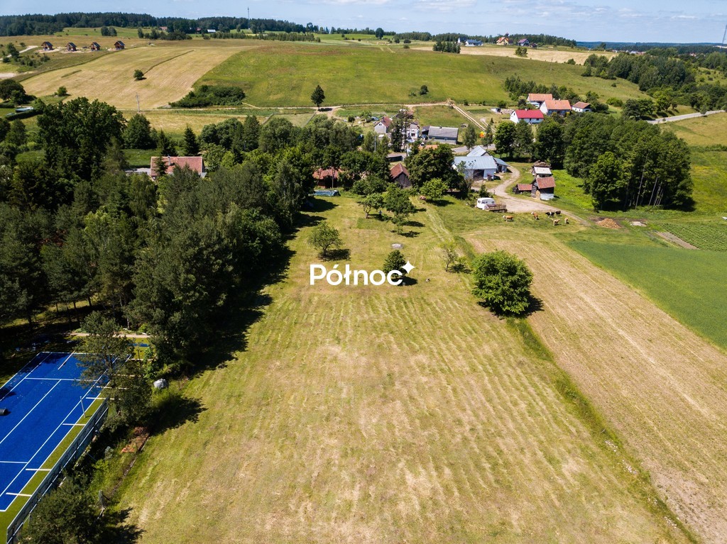Zdjęcie 15