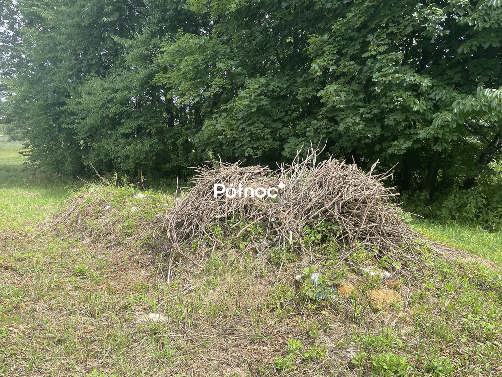 Zdjęcie 4