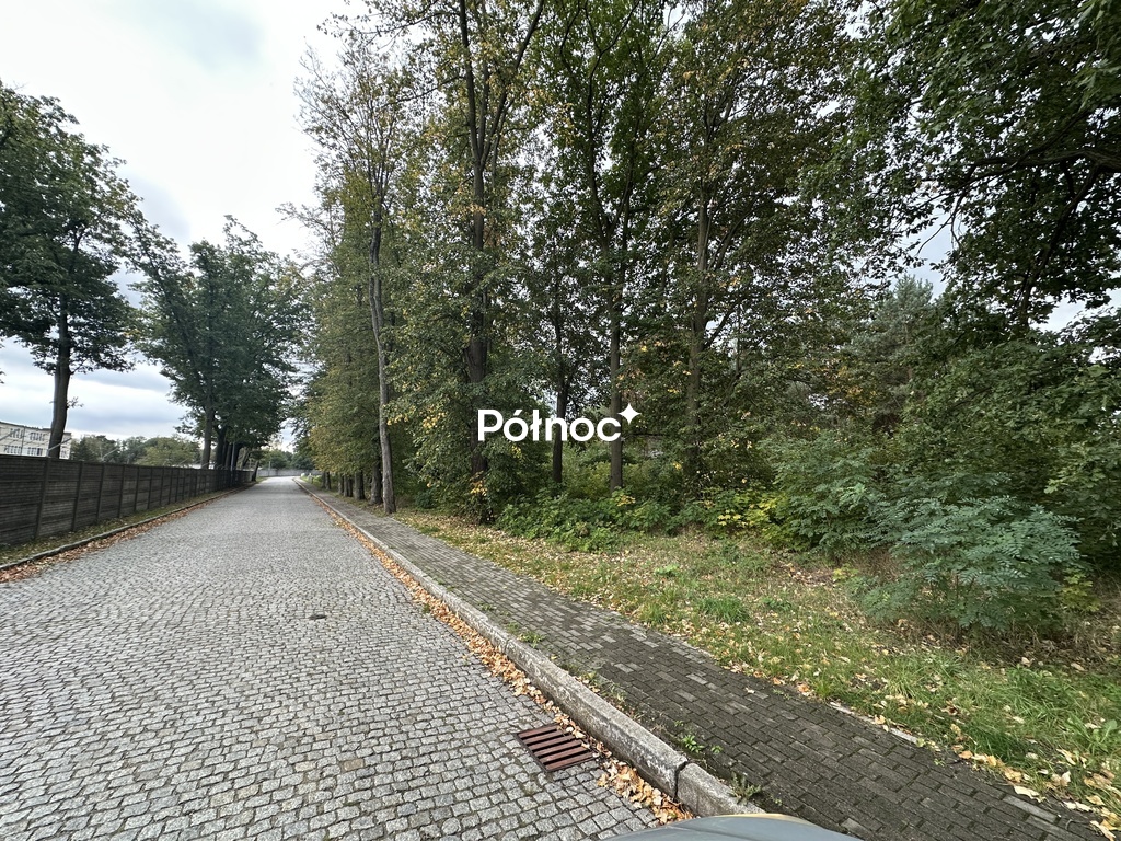 Zdjęcie 2
