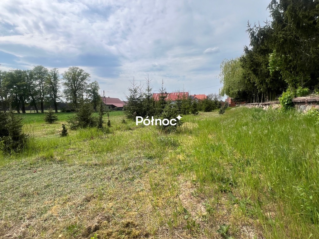 Zdjęcie 6