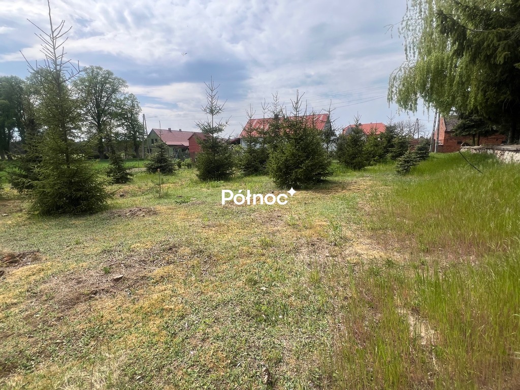 Zdjęcie 8