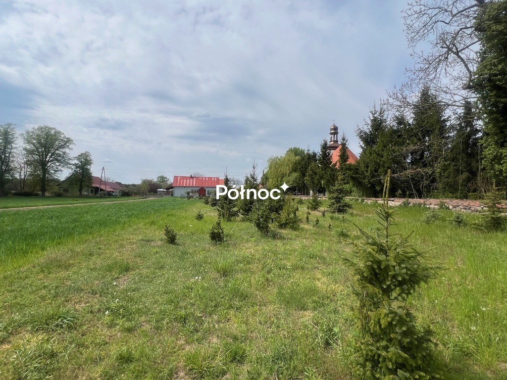 Zdjęcie 10