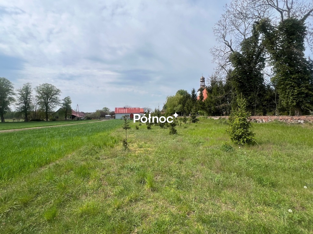 Zdjęcie 11