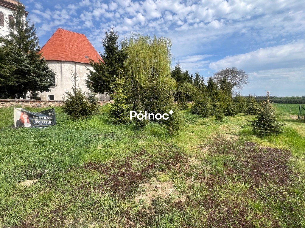 Zdjęcie 14