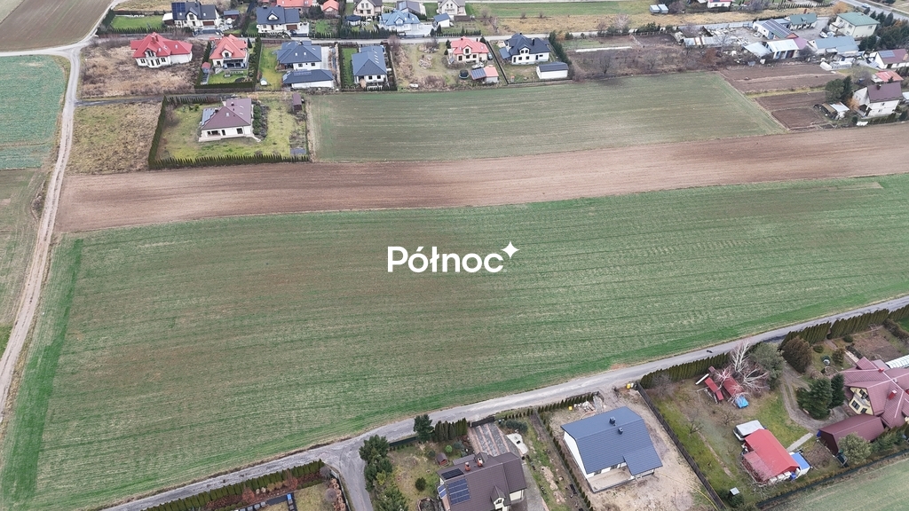 Zdjęcie 6