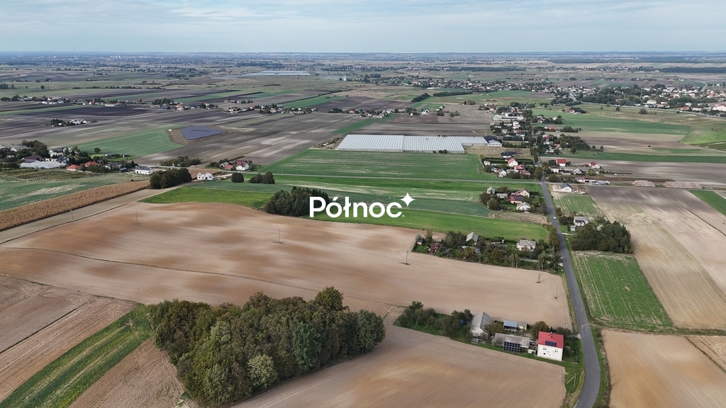 Zdjęcie 6