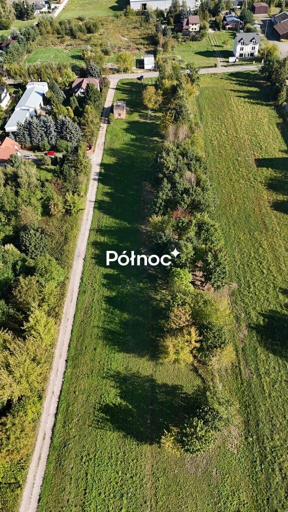 Zdjęcie 3