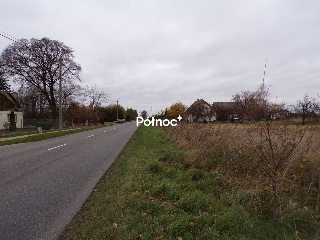 Zdjęcie 9