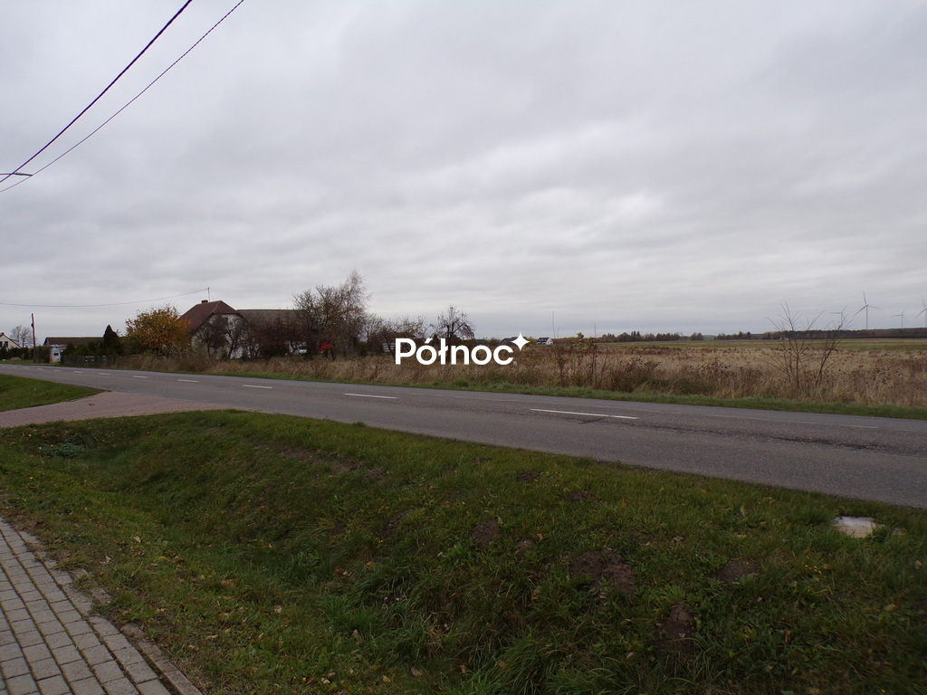 Zdjęcie 12