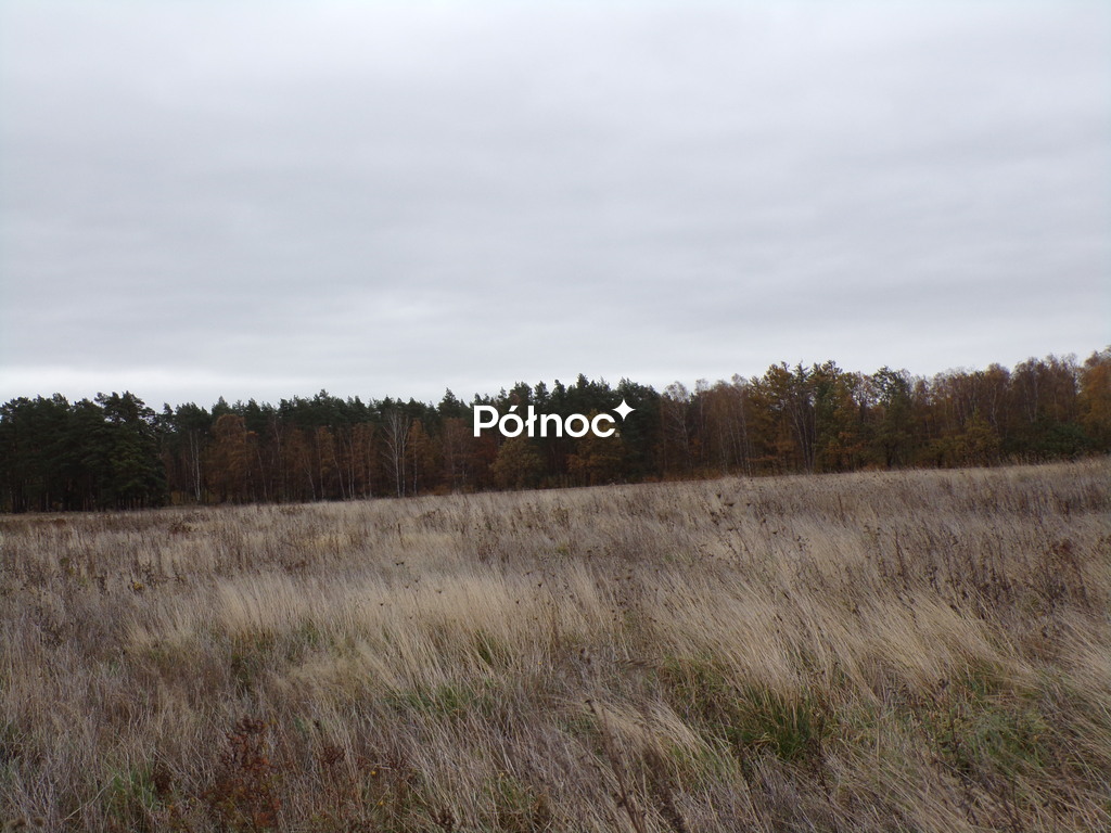 Zdjęcie 8