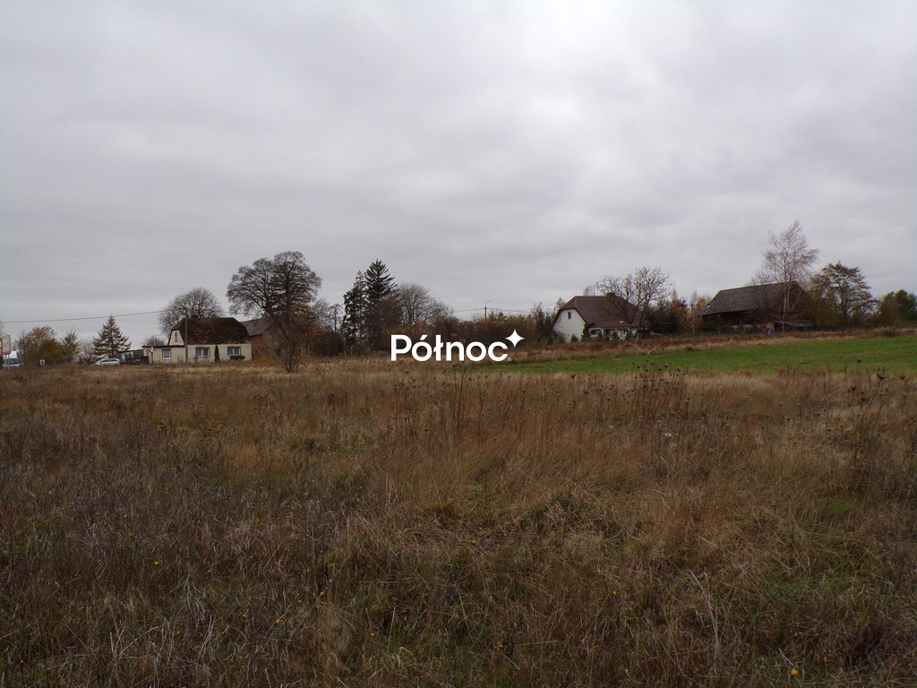 Zdjęcie 10