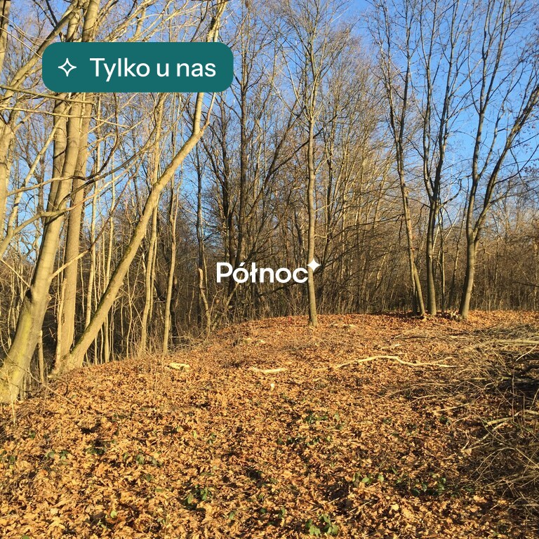 Działka budowlana 1 200 m², Leksandrowa