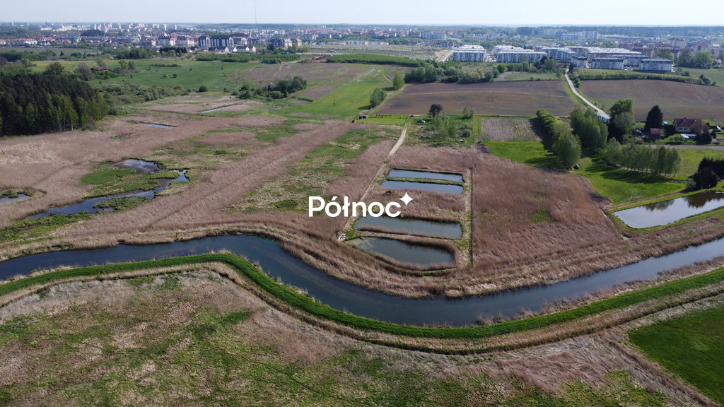 Zdjęcie 5