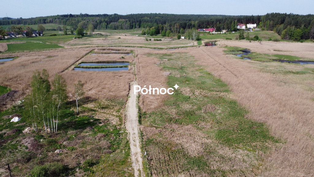 Zdjęcie 11