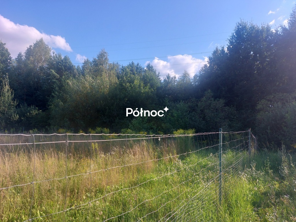Zdjęcie 3