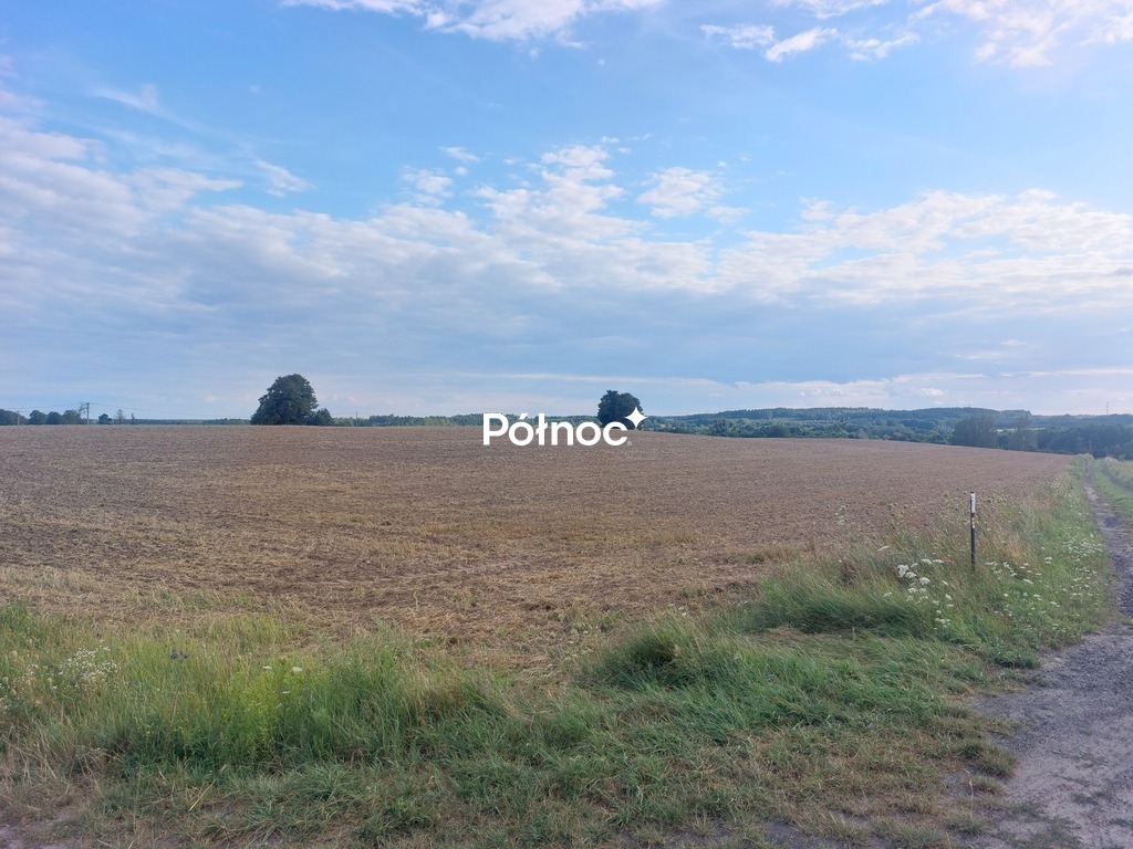 Zdjęcie 3