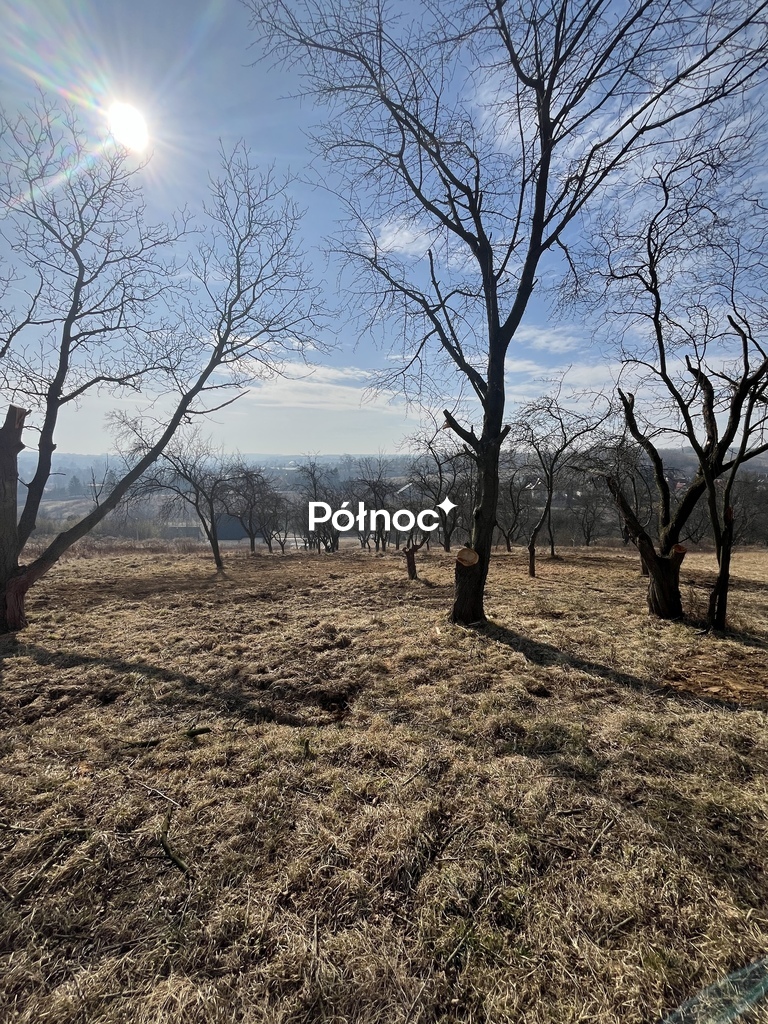 Zdjęcie 2