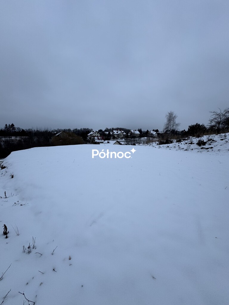 Zdjęcie 4