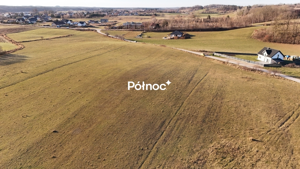 Zdjęcie 9