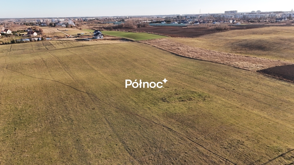Zdjęcie 10