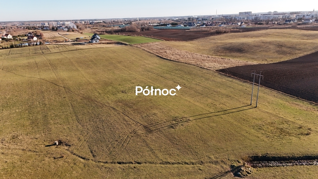 Zdjęcie 11