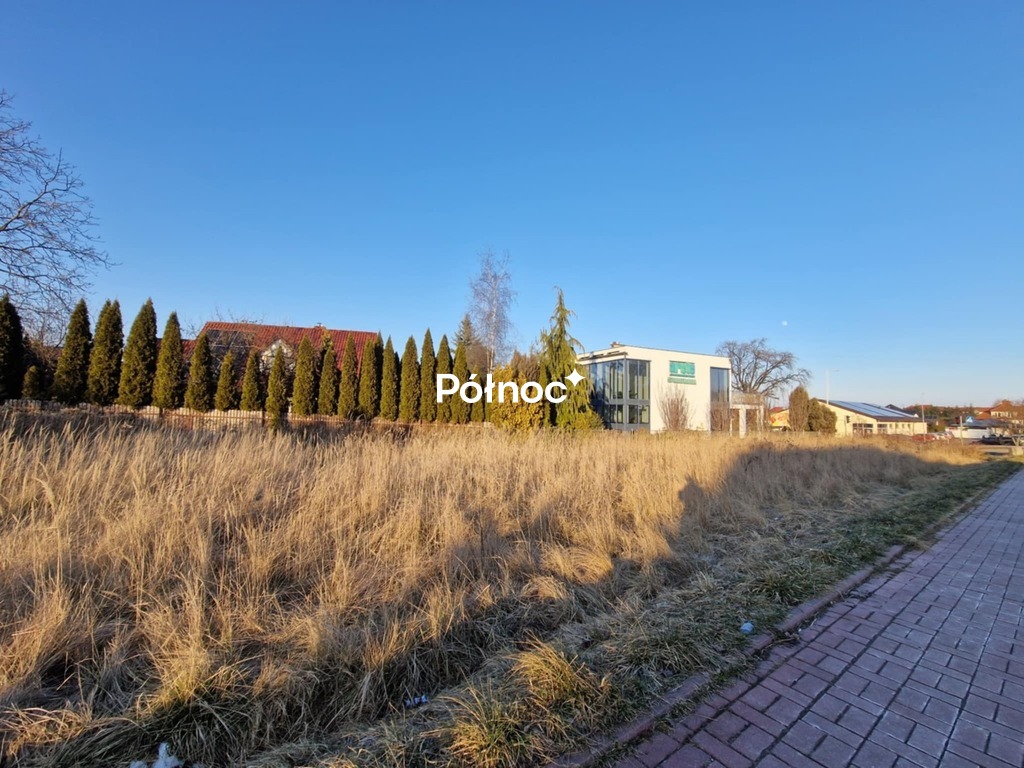 Zdjęcie 3