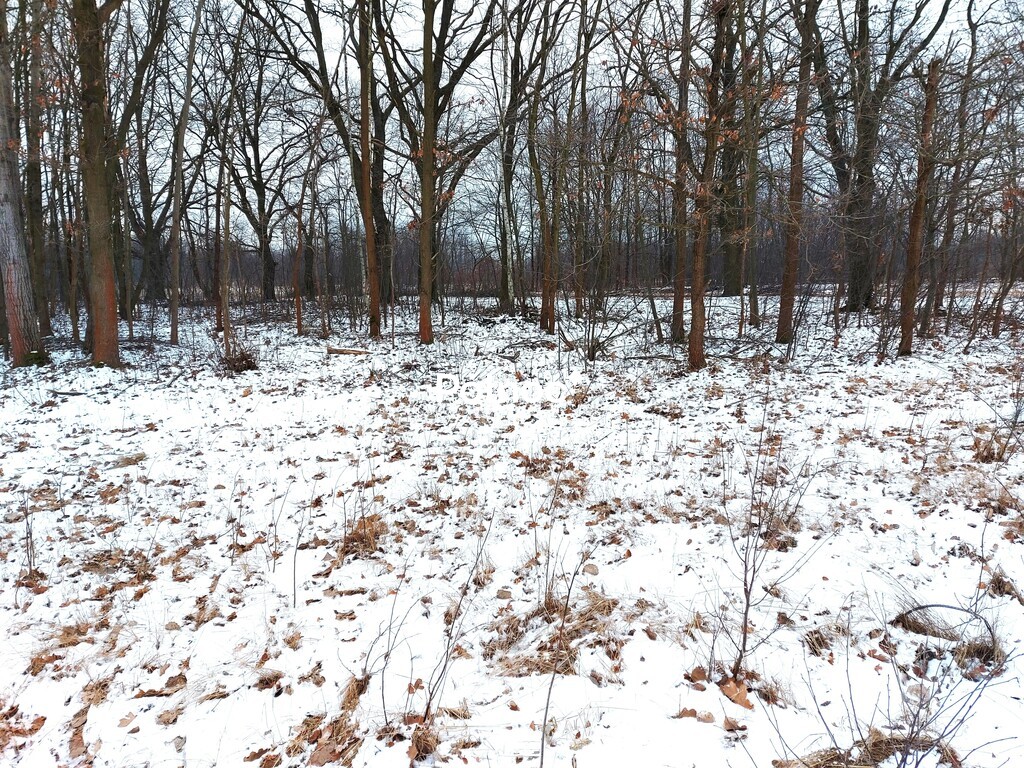 Działka budowlana 6 307 m², Milanówek