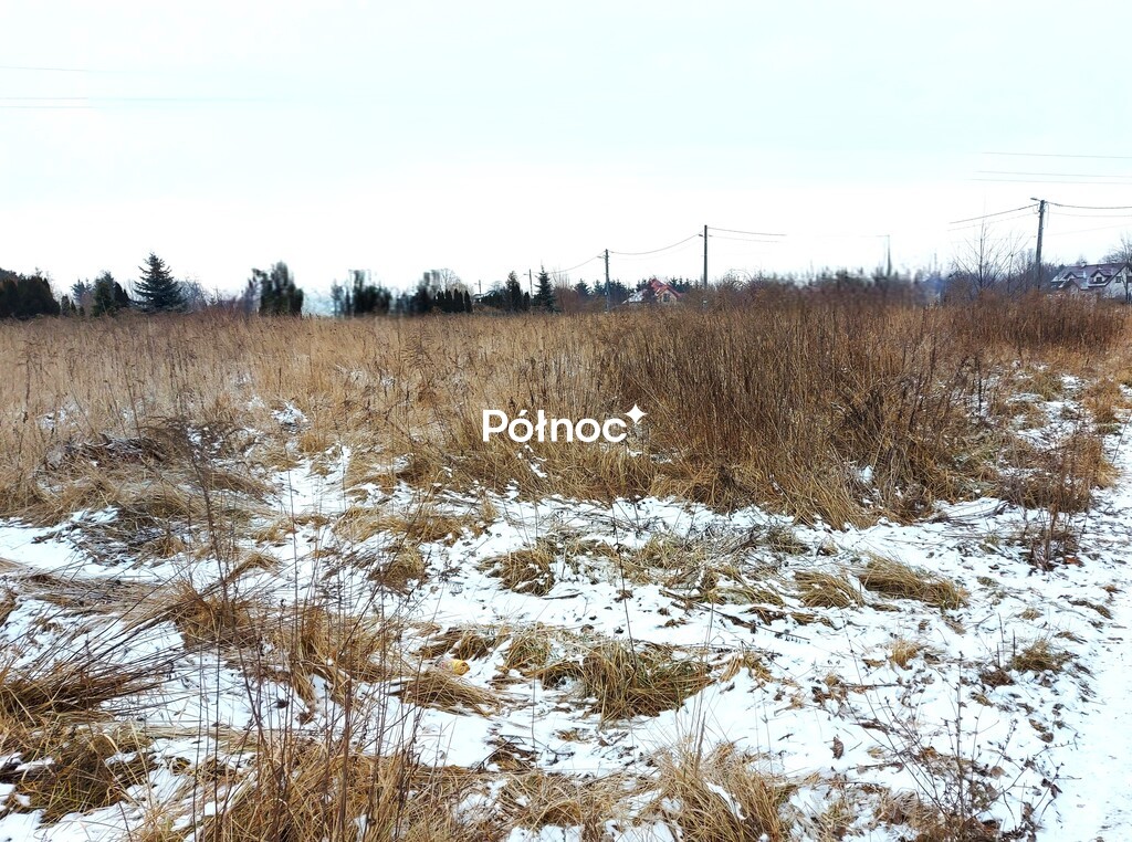 Zdjęcie 4
