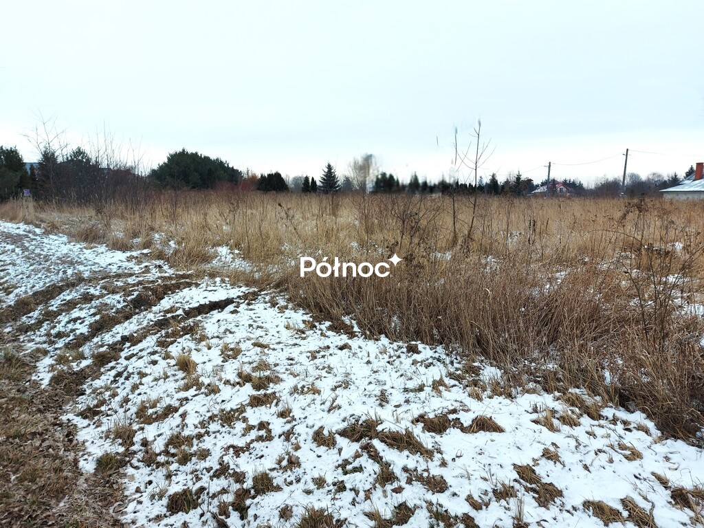 Zdjęcie 5