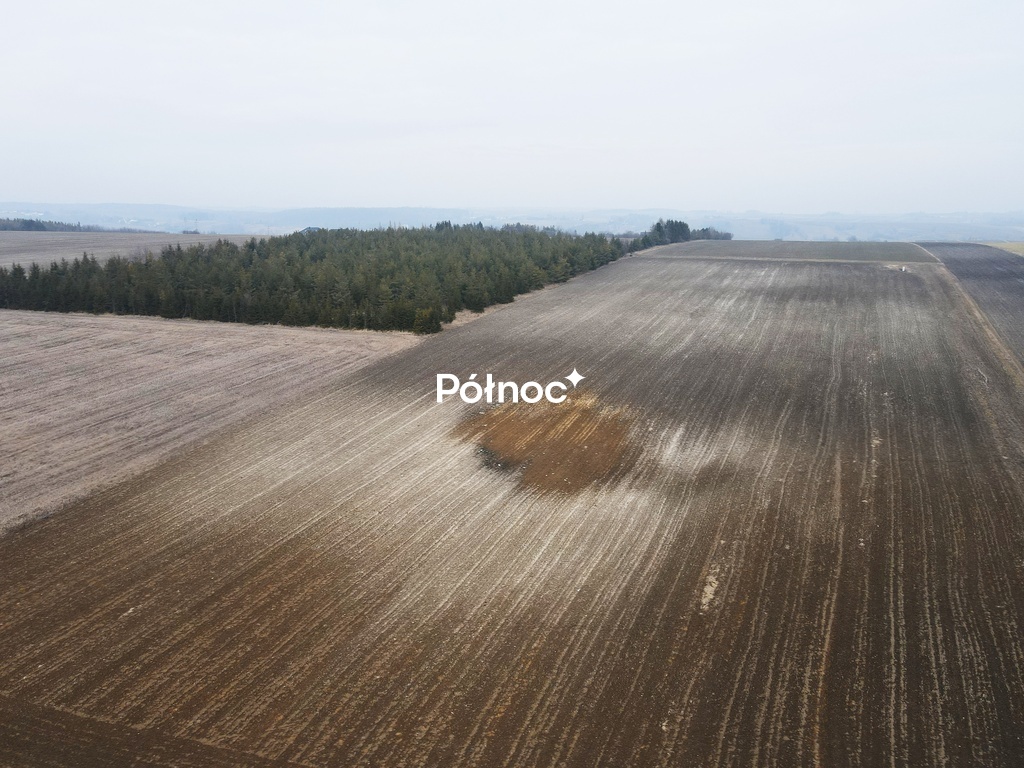 Zdjęcie 2