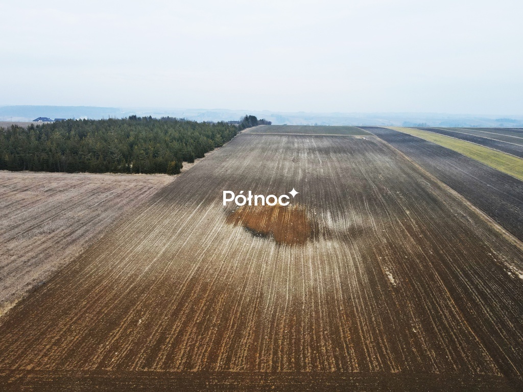 Zdjęcie 2