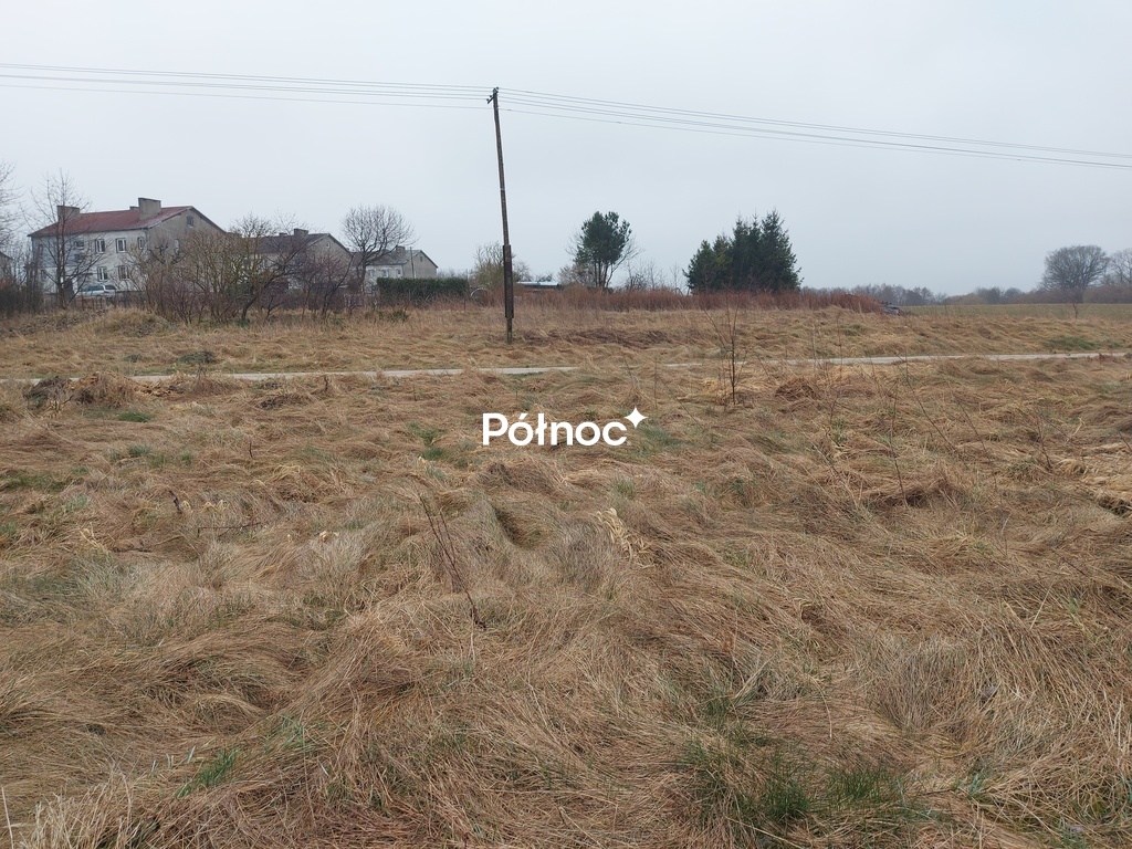 Zdjęcie 9